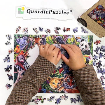 Unlock Your Mind with Brain Teaser Wooden Puzzles