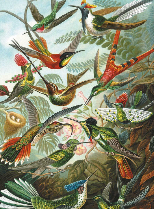🔥SISTA DAG 80% RABATT - Hummingbirds Jigsaw Puzzle